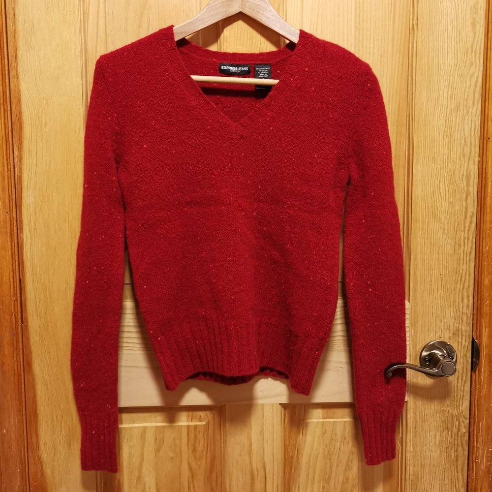 Express Wool V-neck Sweater (S)